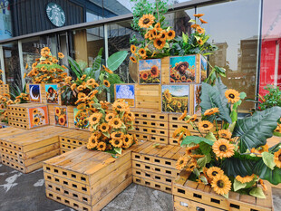 创意木盒向日葵户外装饰