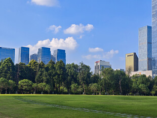 城市绿地与高楼景观