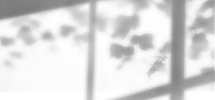 透过窗户的光影树影