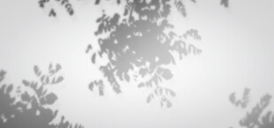 枝叶在天光下的剪影