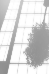 室内绿植与玻璃幕墙景观