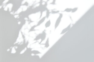 树叶光影投射墙面效果