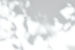 光影斑驳的树叶投影