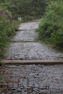 林间碎石小径