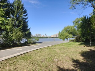 湖畔林荫小道风景