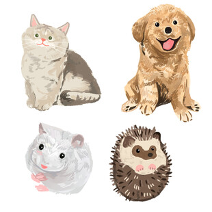 可爱宠物集合