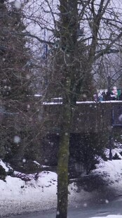 冬日雪景中的桥梁与树木