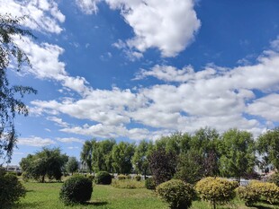 蓝天白云下的园林美景