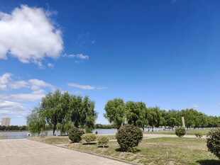 蓝天白云下的开阔绿地景观