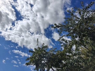 蓝天绿树间的白云美景