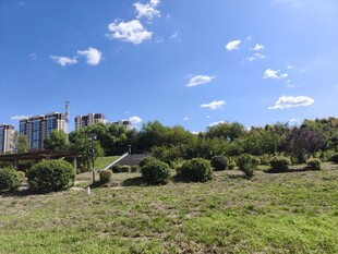 蓝天绿地旁的城市建筑群