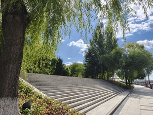 户外阶梯旁的垂柳与蓝天