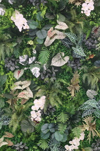 绿植墙