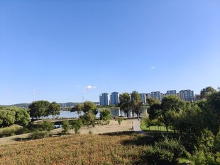 城市边的自然风景