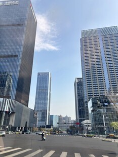 城市