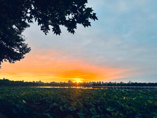 西湖日落美景