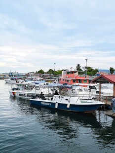 宁静港湾中的停泊船只