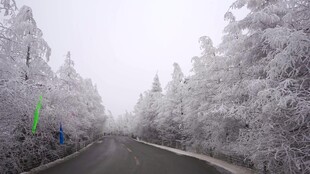 开车第一视角素材