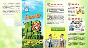 教育宣传页展示