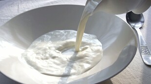 牛奶倒入碗中的温馨场景