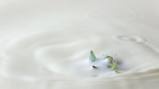 牛奶滴落溅起特写视频素材