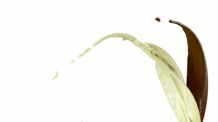 牛奶滴落溅起特写视频素材