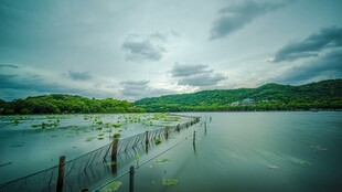 西湖旅游风景区拍航拍素材