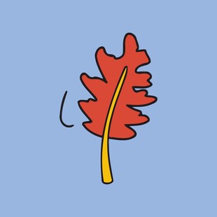 手绘红色叶片插画