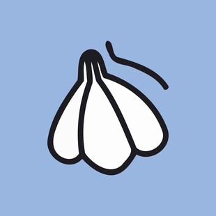 简约风格大蒜图标