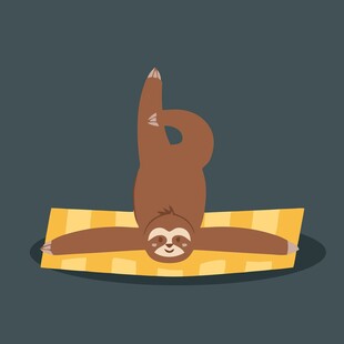 树懒做瑜伽倒立超可爱