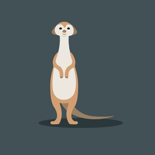 站立的可爱猫鼬