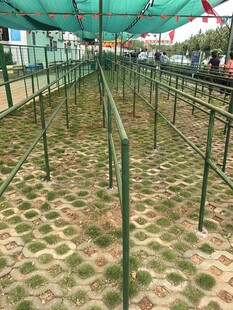 户外绿色围栏搭建场景