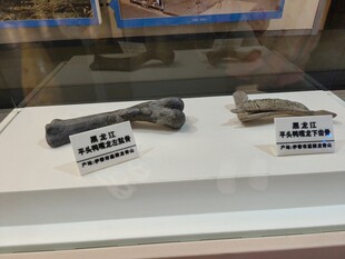 古代兵器与弹药展示
