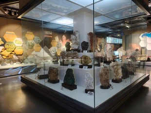 博物馆内的古代陶器陈列