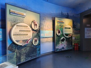 展厅内的展示展板