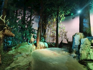 梦幻森林主题室内景观