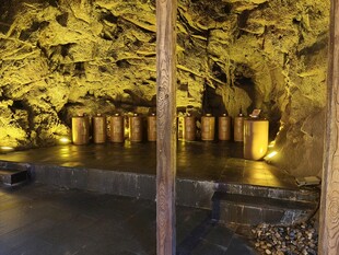 夜晚林中光影静谧景致