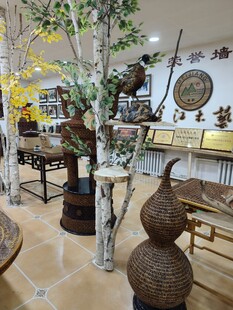 独特室内装饰摆件展示