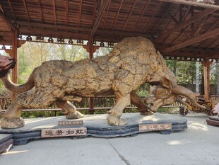 巨大牛形雕塑展独特魅力