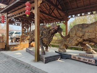 户外牛雕塑展示