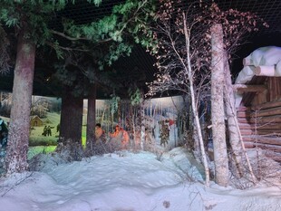 林间小屋旁的静谧小道