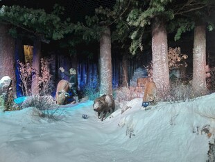 梦幻森林场景布置展示