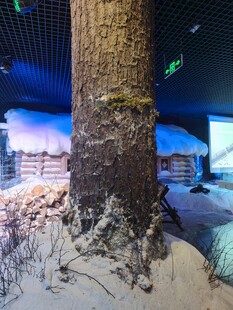 室内展示的仿真树木景观