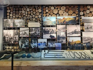 艺术照片墙展示多样风景