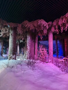 梦幻冰雪溶洞景观