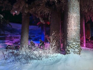 雪夜林间梦幻光影景象