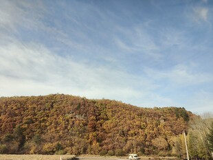 秋日斑斓山丘风景