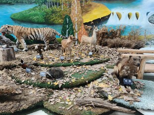 多彩鸟类栖息于仿真环境