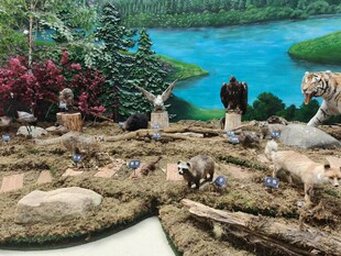 精致景观微缩模型展示