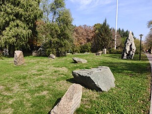 草地中的巨石与树木景观